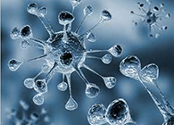 CC网投体内体外药效试验顺遂通过药监局审查