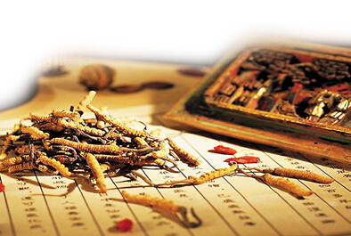 以后中医药养生将怎样效劳黎民生涯？？？？