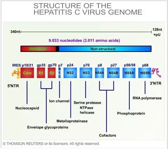 CC网投·(中国游)官方网站