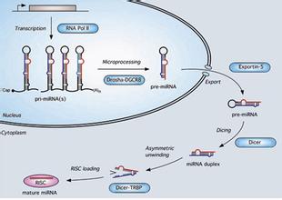CC网投·(中国游)官方网站