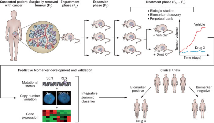 CC网投·(中国游)官方网站