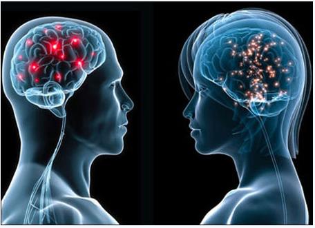 5月2号，，，，，医药经济报上揭晓了关于陈春麟博士的报道——CRO的中国式崛起路径