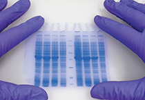 浙江医药实验大康健新增添点