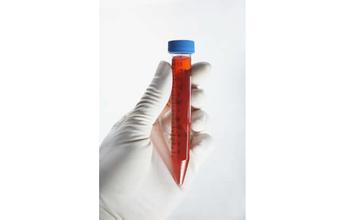 CC网投·(中国游)官方网站