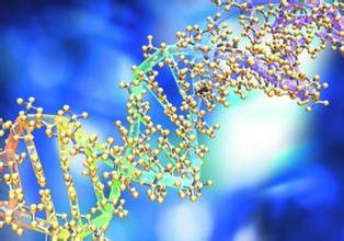 1月5号,陈春麟博士等加入张江2012年迎新年会