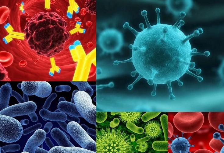 原位杂交手艺的基本流程有哪些？？？