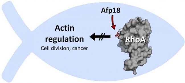 CC网投·(中国游)官方网站