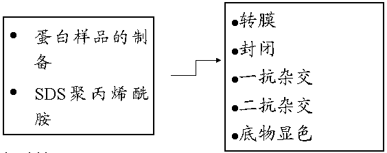 CC网投·(中国游)官方网站