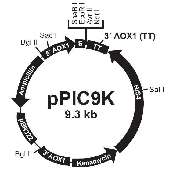 CC网投·(中国游)官方网站
