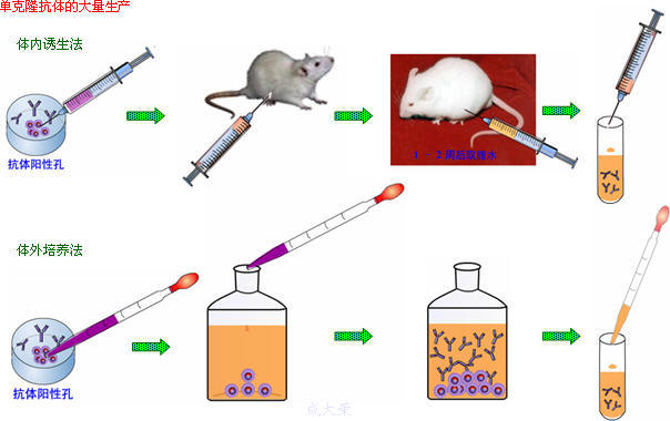 CC网投·(中国游)官方网站
