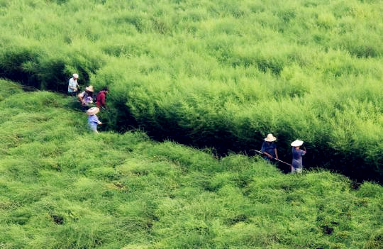CC网投·(中国游)官方网站