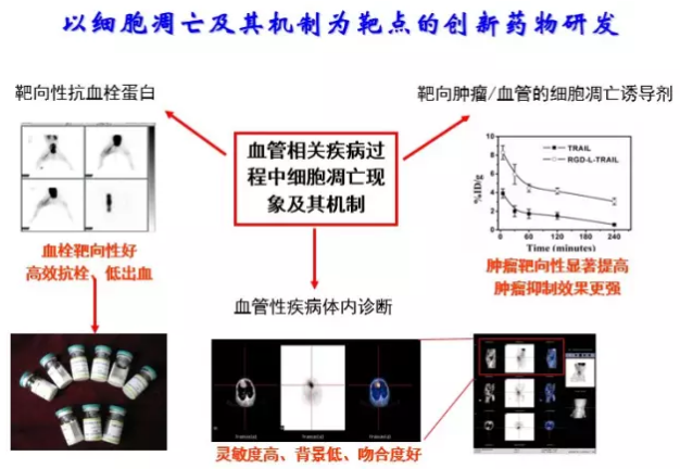 CC网投·(中国游)官方网站