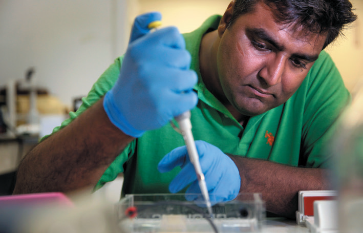 CC网投·(中国游)官方网站