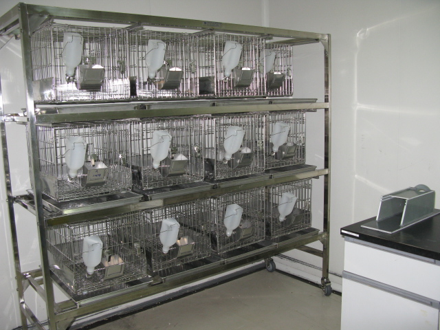 CC网投普亚新动物房通过上海动管会验收