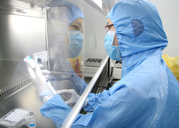 ICH公布质料药GMP新指南