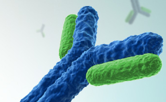 卵白质疏散纯化手艺效劳公司