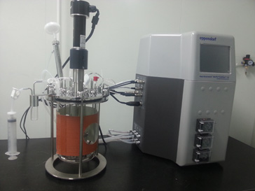 CC网投的生物药（抗体）实验室即将投入使用