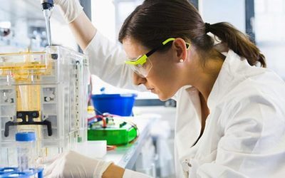 CC网投人类疾病动物模子