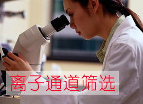 CC网投离子通道筛选效劳