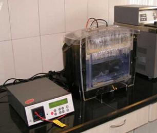 CC网投·(中国游)官方网站