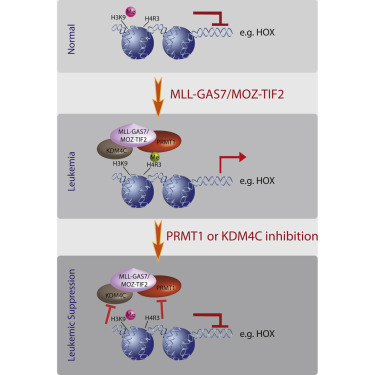 CC网投·(中国游)官方网站
