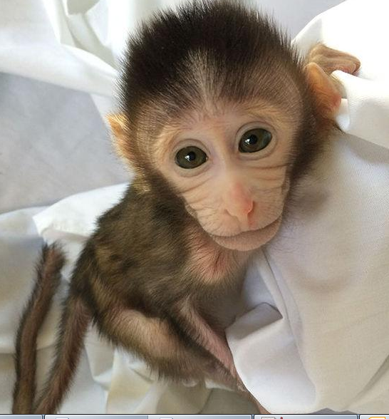 CC网投·(中国游)官方网站