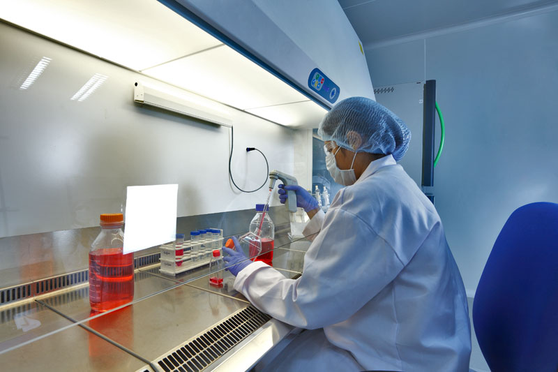 2015年度中国药品批准盘货：化药不批准率超20%，，，中药上市数目翻3倍