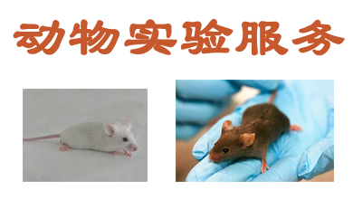 CC网投动物实验外包效劳