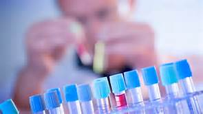 CC网投·(中国游)官方网站