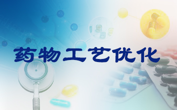 CC网投制药工艺优化效劳