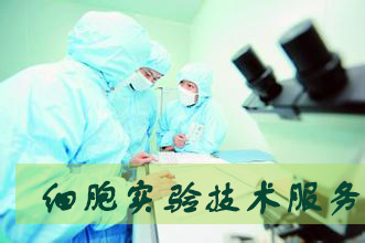 CC网投·(中国游)官方网站