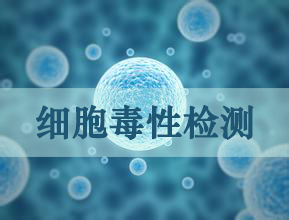 CC网投细胞毒性实验效劳