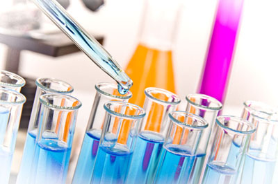 CC网投生物实验