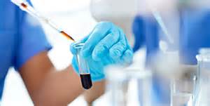 CC网投·(中国游)官方网站