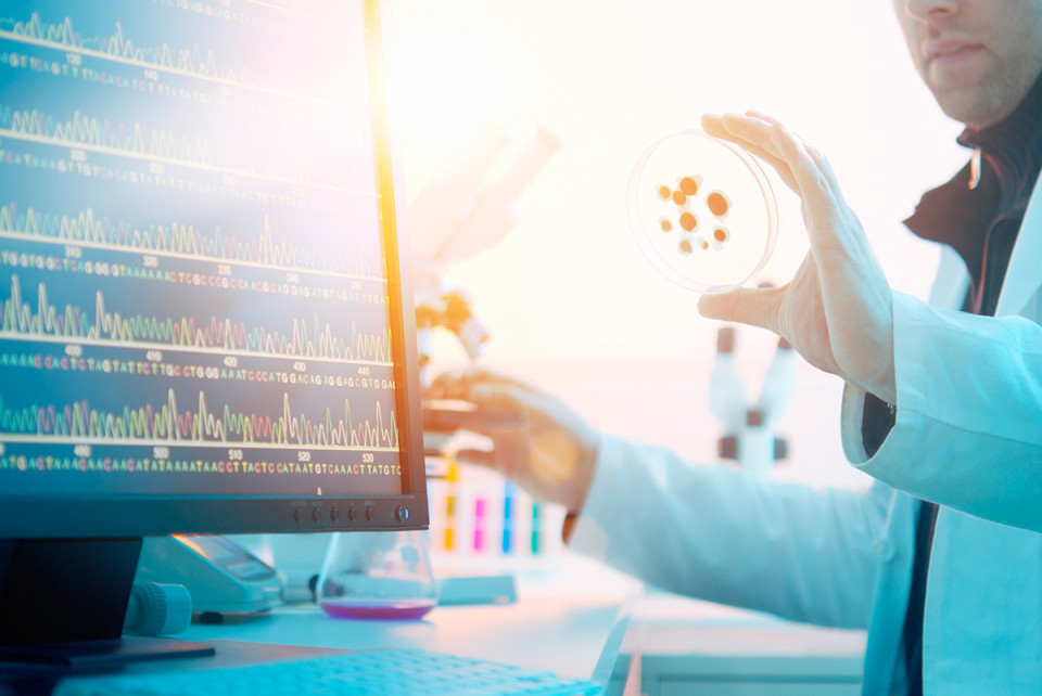 CC网投·(中国游)官方网站