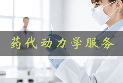 CC网投药代动力学效劳