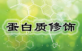 CC网投·(中国游)官方网站