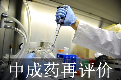 CC网投·(中国游)官方网站