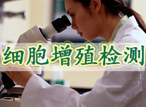CC网投细胞增殖检测
