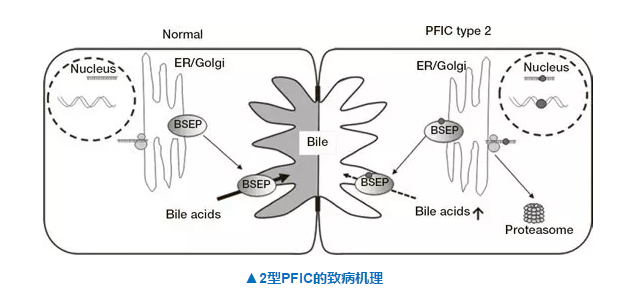 CC网投·(中国游)官方网站