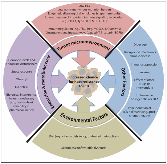 CC网投·(中国游)官方网站