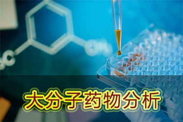 CC网投大分子药物剖析效劳