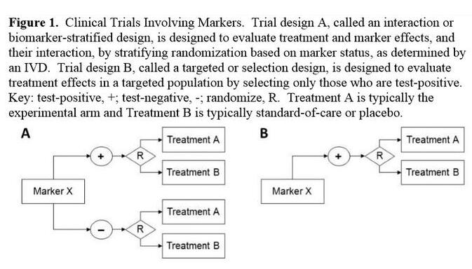 CC网投·(中国游)官方网站