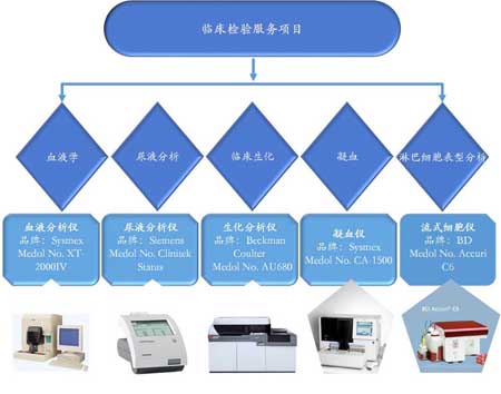 CC网投临床磨练效劳