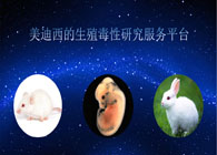 CC网投的生殖毒性研究效劳平台