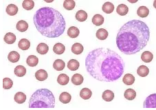 CC网投·(中国游)官方网站