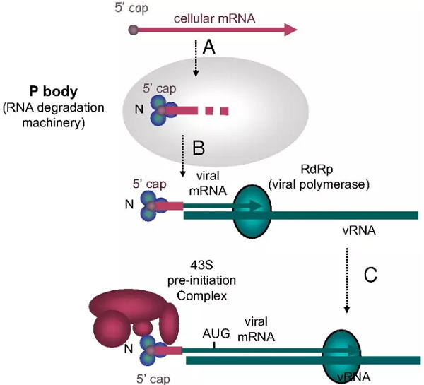 CC网投·(中国游)官方网站