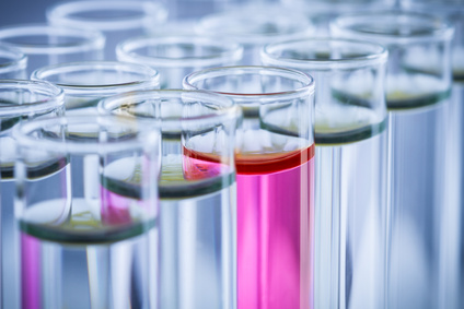 下一家引疯抢的生物手艺公司是谁？？