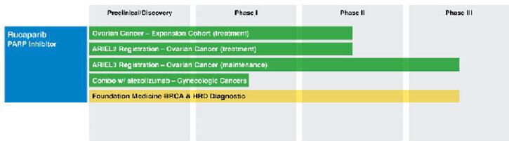 CC网投·(中国游)官方网站