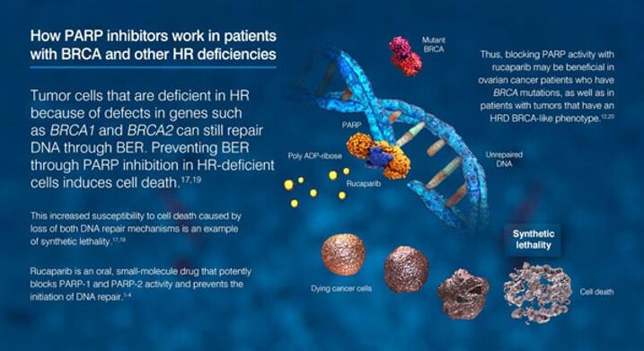 CC网投·(中国游)官方网站
